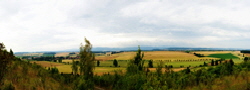 Fallstein-West